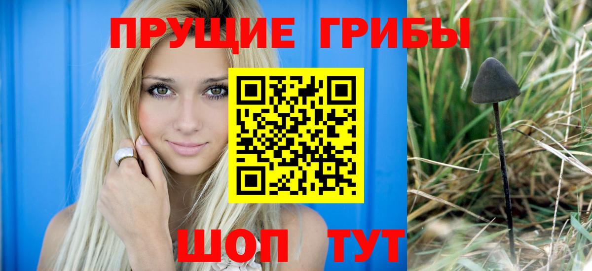 где продают наркотики  Вход с VPN  Туапсе  Галлюциногенные грибы Psilocybine cubensis 
